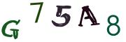 Beeld-CAPTCHA