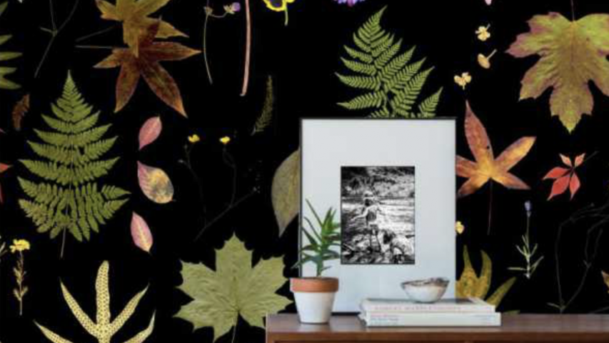Est-1966 Chantal Keizer Wallcovering fotobehang natuur 